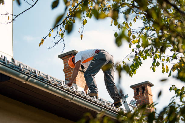 Quick and Trustworthy Emergency Roof Repair Services in Lincoln Park, NY